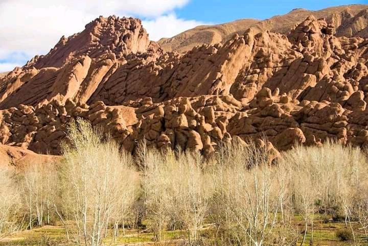 Kasbah Ait Arbi Hotel Ait Ougliff Kültér fotó