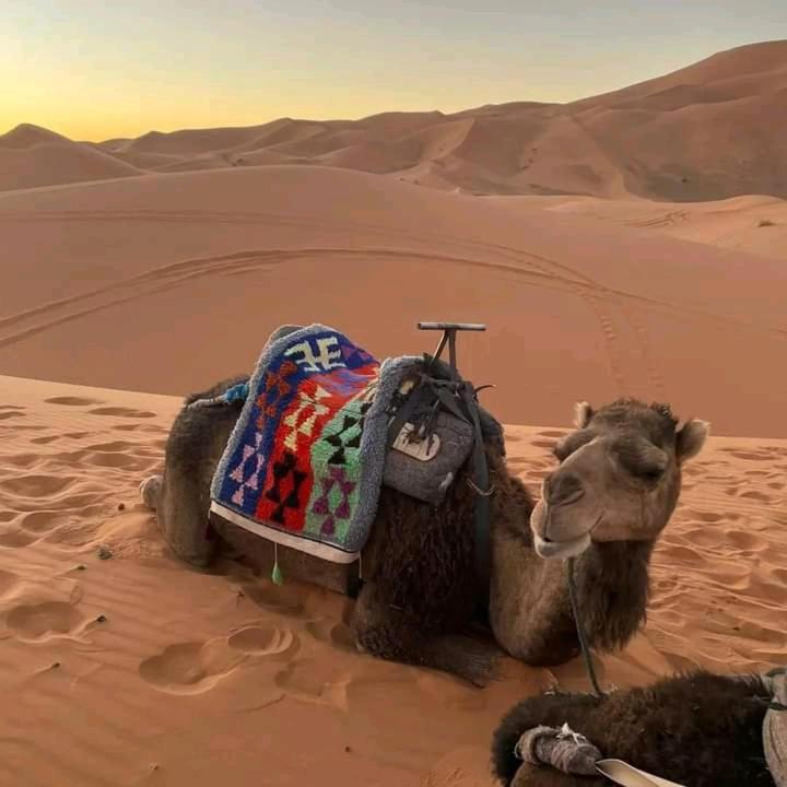 Kasbah Ait Arbi Hotel Ait Ougliff Kültér fotó