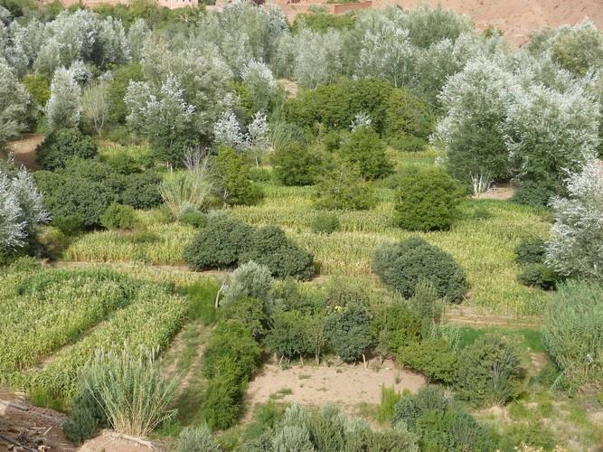 Kasbah Ait Arbi Hotel Ait Ougliff Kültér fotó